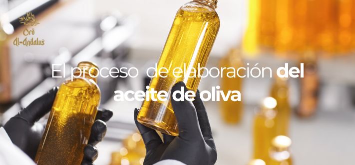 El proceso de elaboración del aceite de oliva